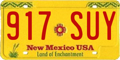 NM license plate 917SUY