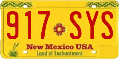 NM license plate 917SYS