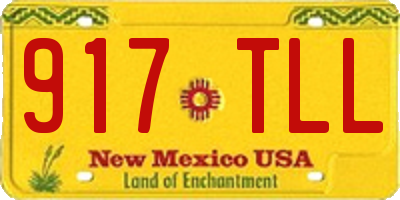 NM license plate 917TLL