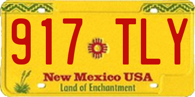 NM license plate 917TLY