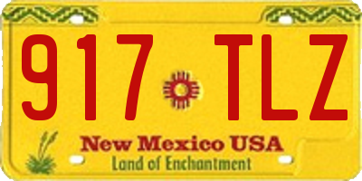 NM license plate 917TLZ