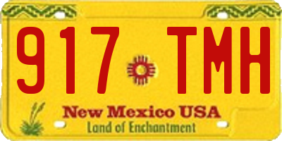 NM license plate 917TMH