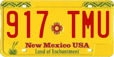 NM license plate 917TMU