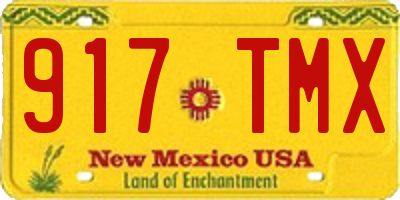 NM license plate 917TMX