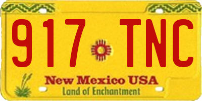 NM license plate 917TNC