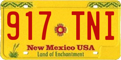 NM license plate 917TNI