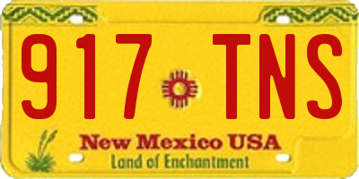 NM license plate 917TNS