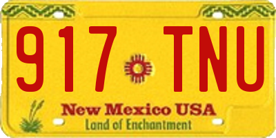 NM license plate 917TNU