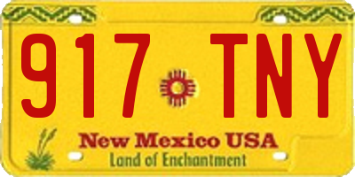 NM license plate 917TNY