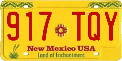 NM license plate 917TQY
