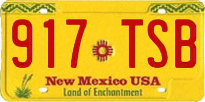 NM license plate 917TSB