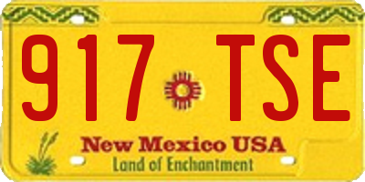 NM license plate 917TSE