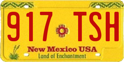 NM license plate 917TSH