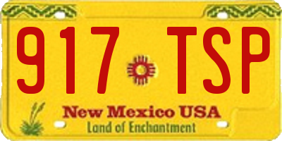 NM license plate 917TSP