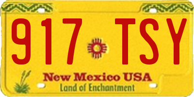 NM license plate 917TSY