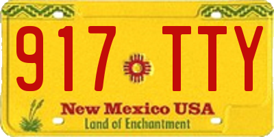 NM license plate 917TTY