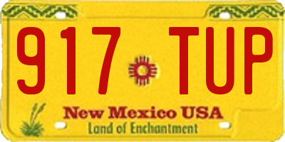 NM license plate 917TUP