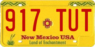 NM license plate 917TUT