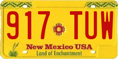 NM license plate 917TUW