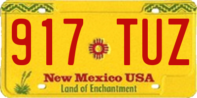 NM license plate 917TUZ