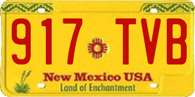 NM license plate 917TVB