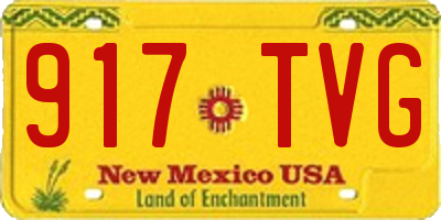 NM license plate 917TVG