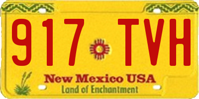 NM license plate 917TVH