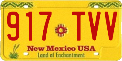 NM license plate 917TVV