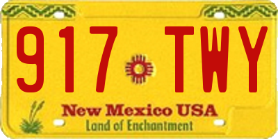 NM license plate 917TWY