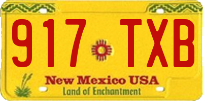 NM license plate 917TXB