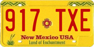 NM license plate 917TXE