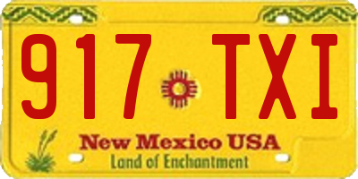 NM license plate 917TXI