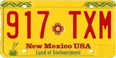 NM license plate 917TXM