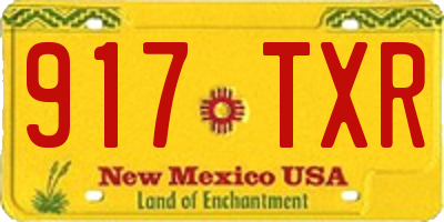 NM license plate 917TXR