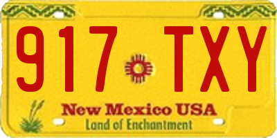 NM license plate 917TXY