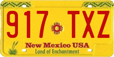 NM license plate 917TXZ