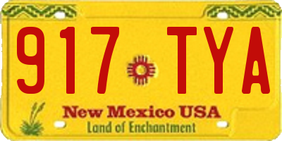 NM license plate 917TYA