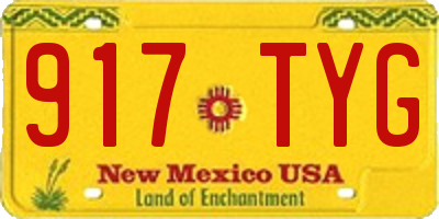 NM license plate 917TYG