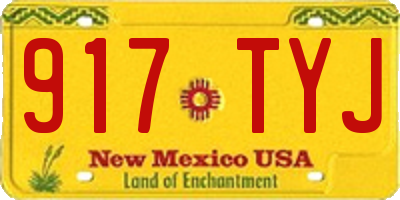 NM license plate 917TYJ