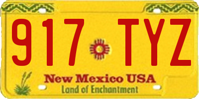 NM license plate 917TYZ