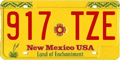 NM license plate 917TZE