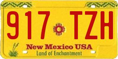 NM license plate 917TZH
