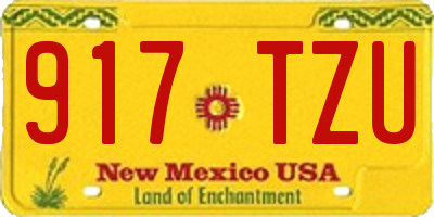NM license plate 917TZU