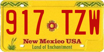 NM license plate 917TZW