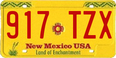 NM license plate 917TZX