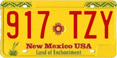 NM license plate 917TZY