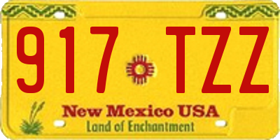 NM license plate 917TZZ