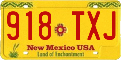 NM license plate 918TXJ