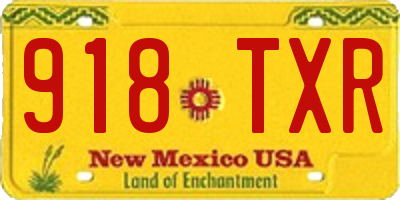 NM license plate 918TXR
