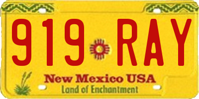NM license plate 919RAY